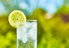 Fresh Lime Soda